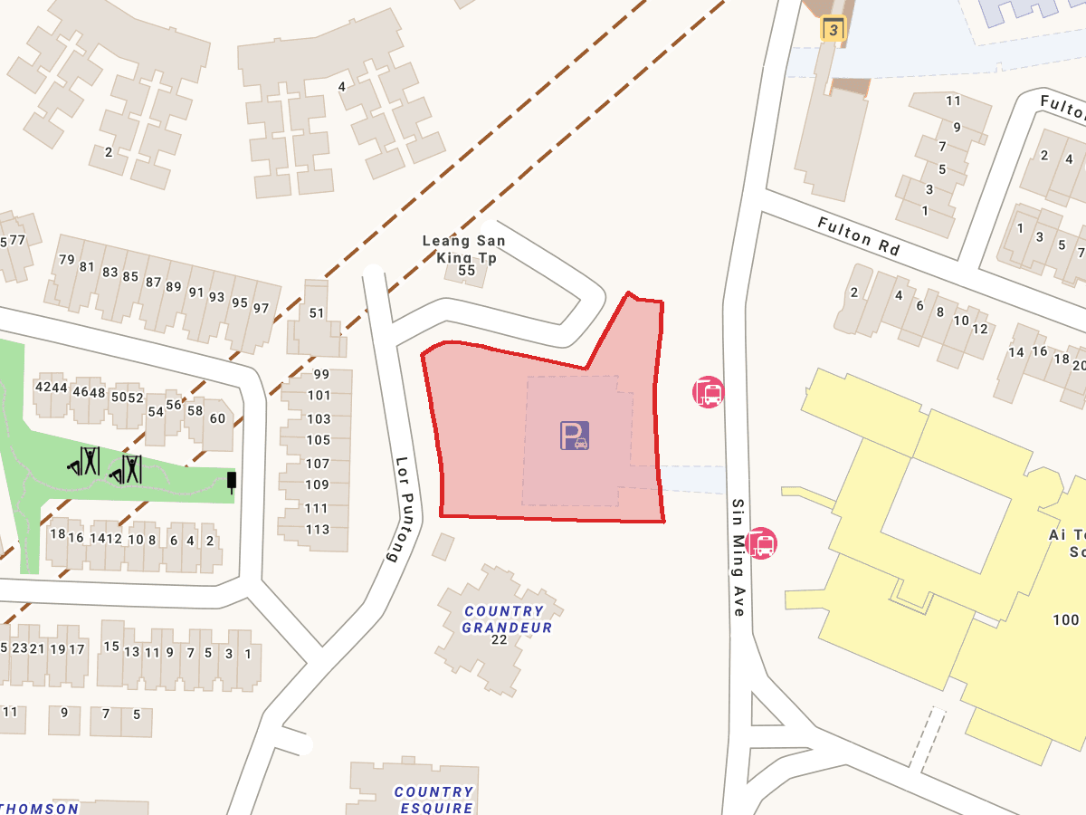 Lorong Puntong / Sin Ming Avenue GLS plot — land parcel highlighted on the map
